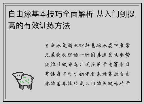 自由泳基本技巧全面解析 从入门到提高的有效训练方法